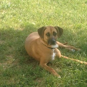 Meet your Posher, Lisa